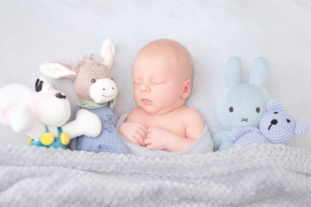 Neugeborenenshooting mit Stofftier Freunden